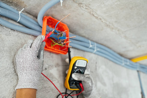 Best Electrician for Home Renovation  in Walbridge, OH